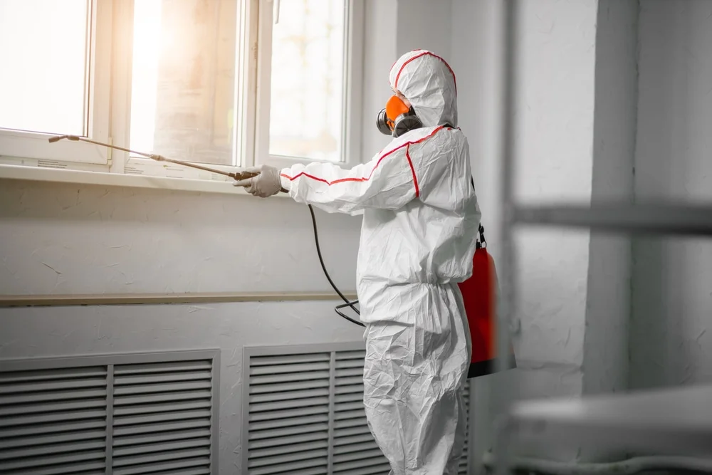Professional mold remediation services in Fork, MD